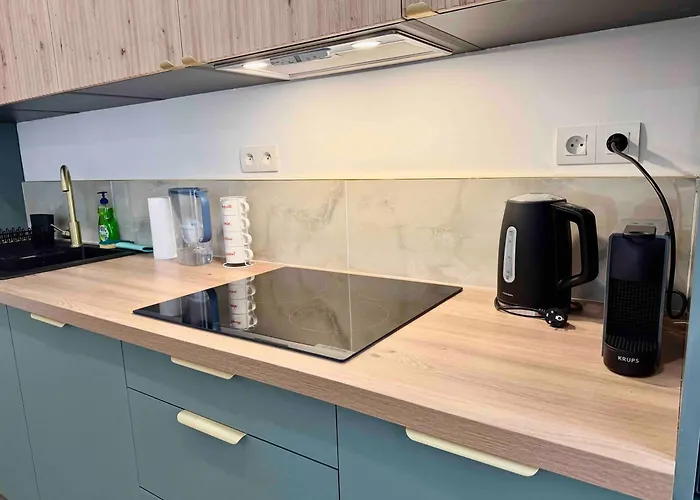 Nikaia - 2br Close To Everything Nizza